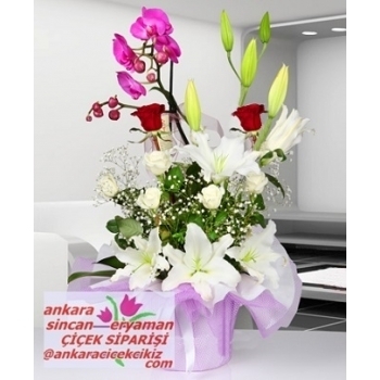 Sincan Çiçek Siparişi ( ANKARA ) Orkide Arajmanı